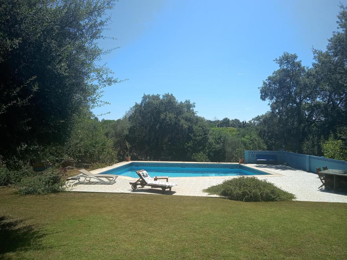 Sotogrande - Estancia En Plena Naturaleza - Abril Luaran gambar
