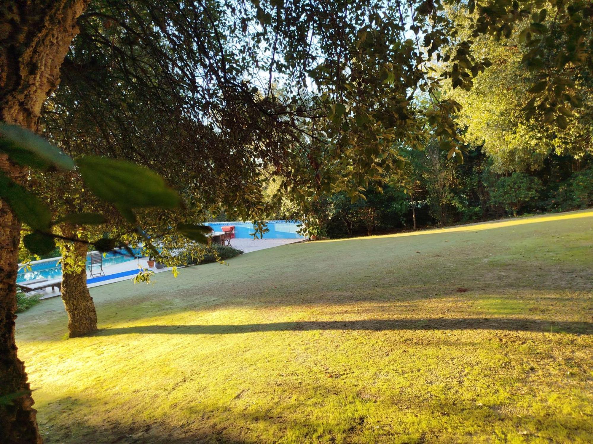 Sotogrande - Estancia En Plena Naturaleza - Abril Luaran gambar